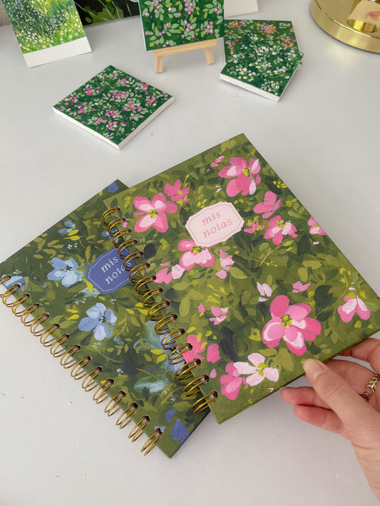 Pack libretas Azul & Rosa