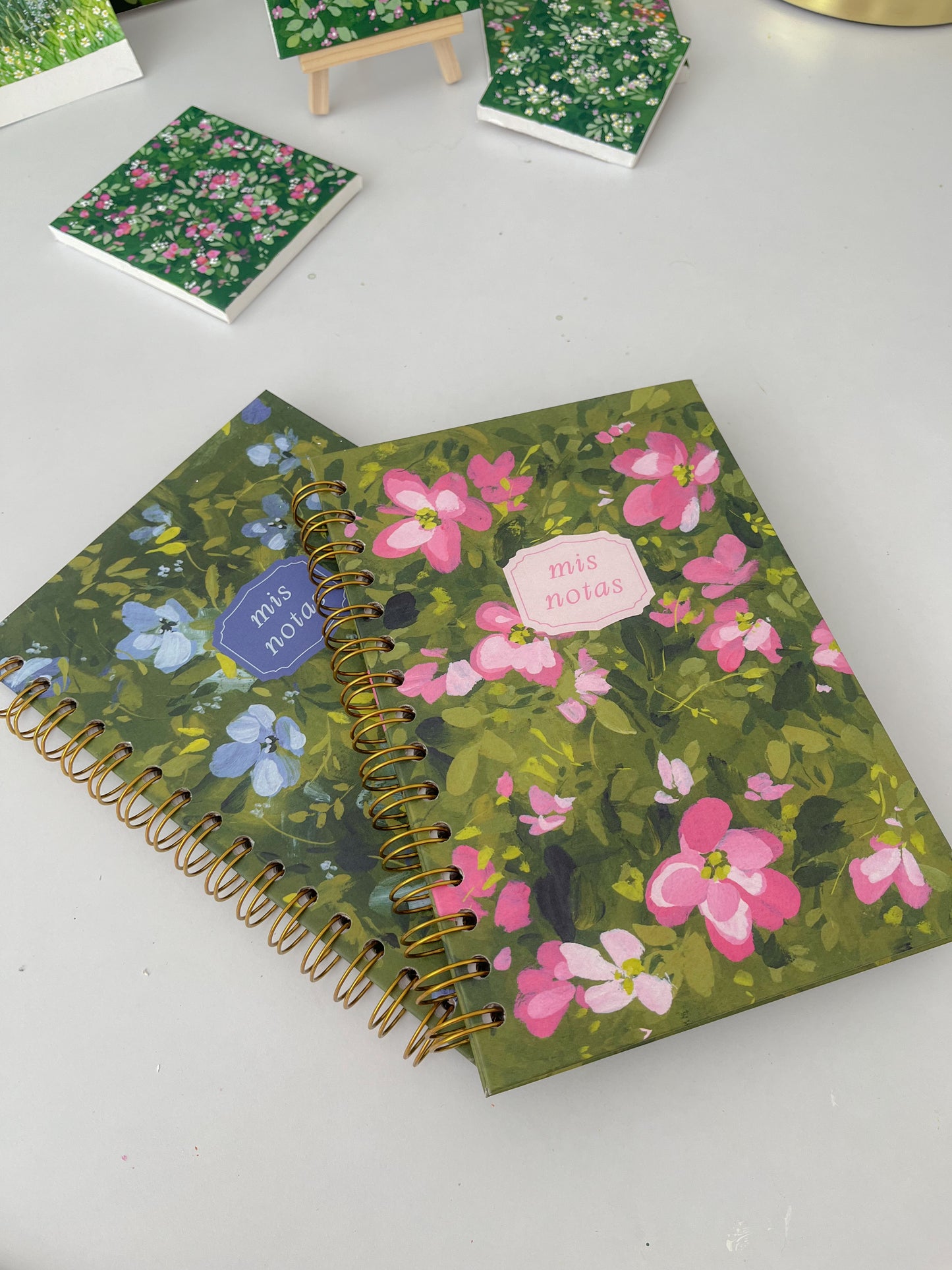 Pack libretas Azul & Rosa