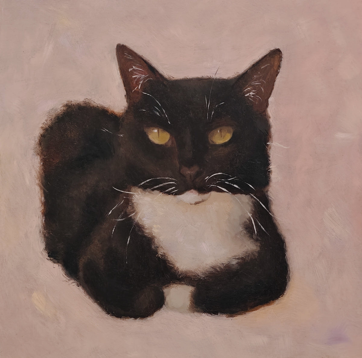 Gato