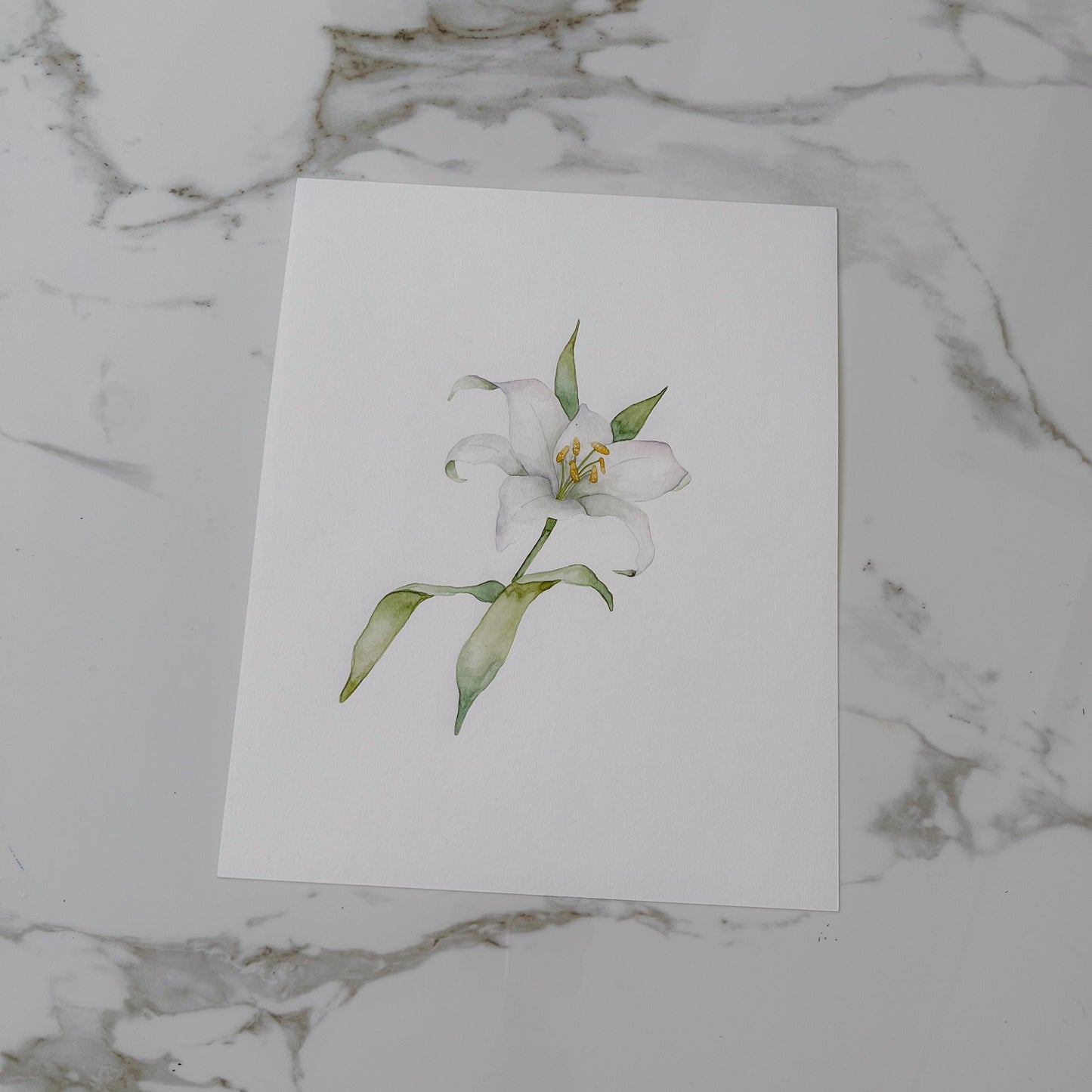 Flor Blanca