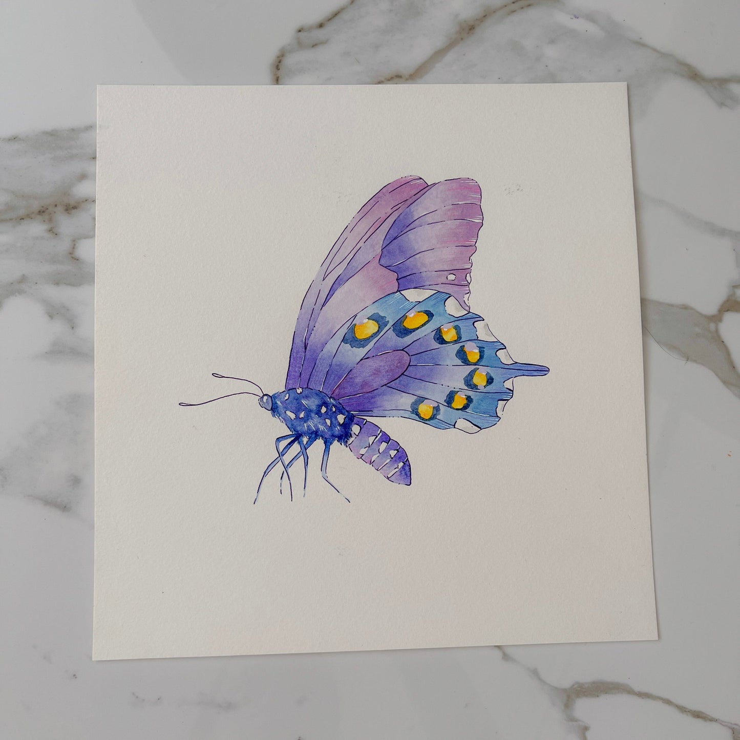Mariposa Morada